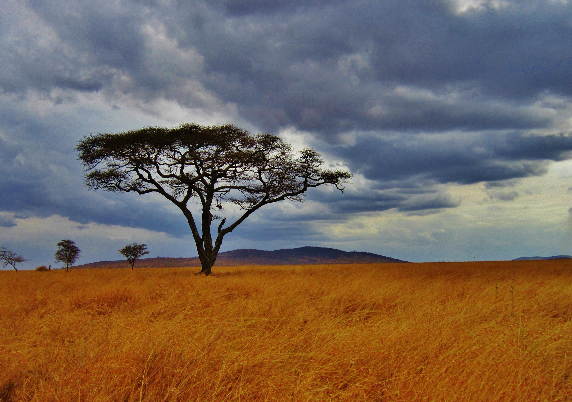 Picture Madagascar